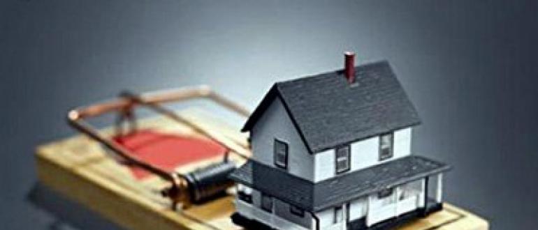 Каковы права квартирантов без договора и чем рискует арендодатель, сдавая жилье без составления соглашения?